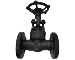 Carbon & Alloy Steel Valves