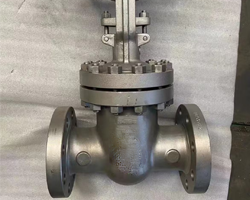 Nickel & Copper Alloy Valves